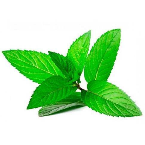 Peppermint Oil in Cream VariForce