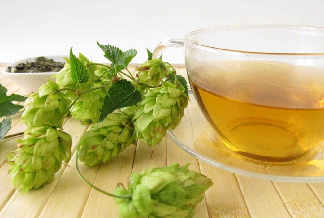 Hops soup for varicose veins